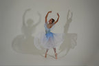Ombre Cinderella blue romantic tutu dress - Hire only