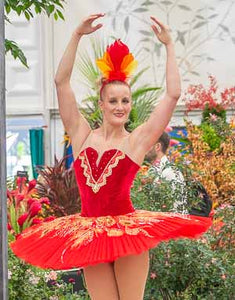 Firebird tutu hire