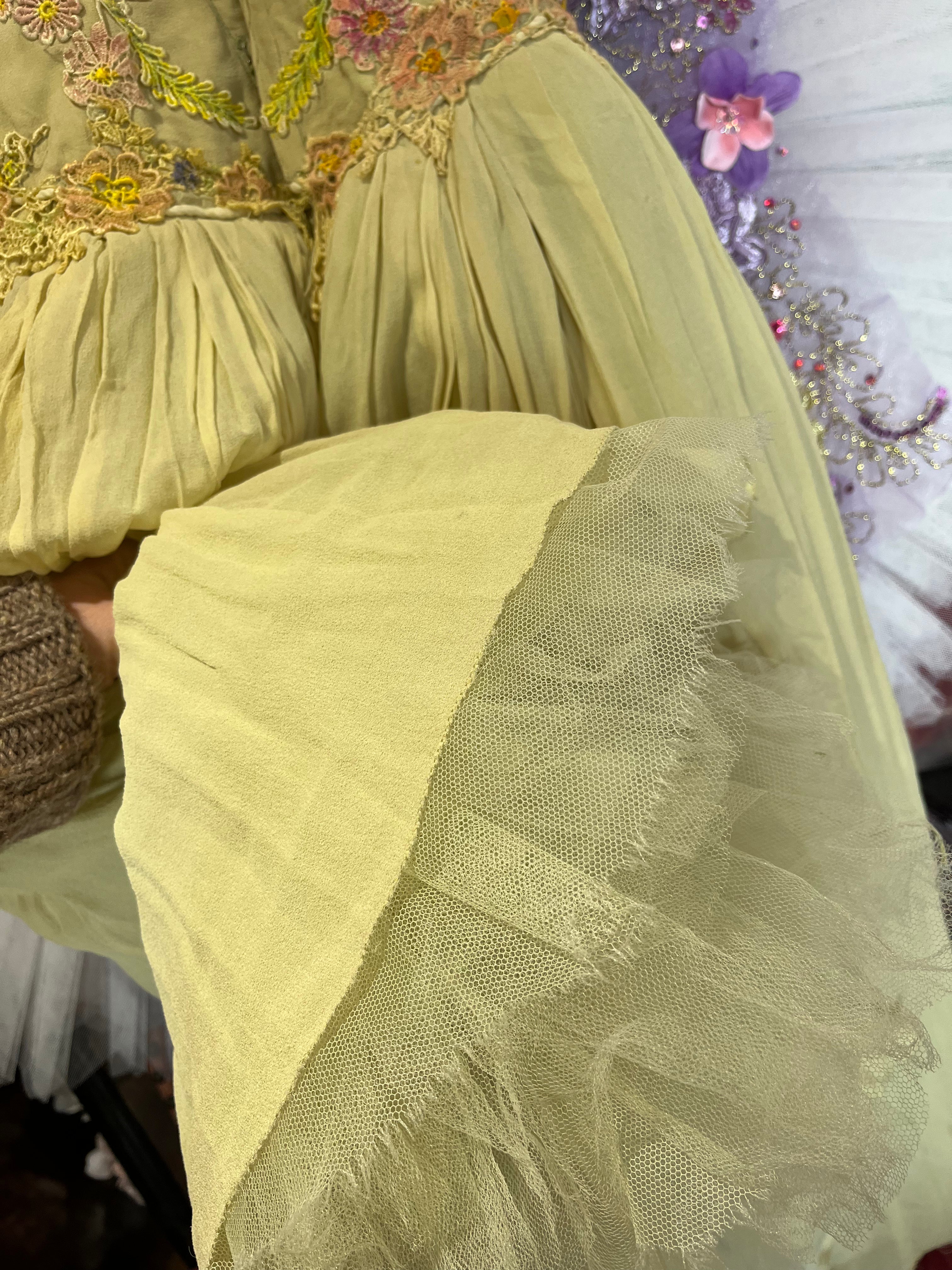 Pretty pale green romantic floral tutu dress