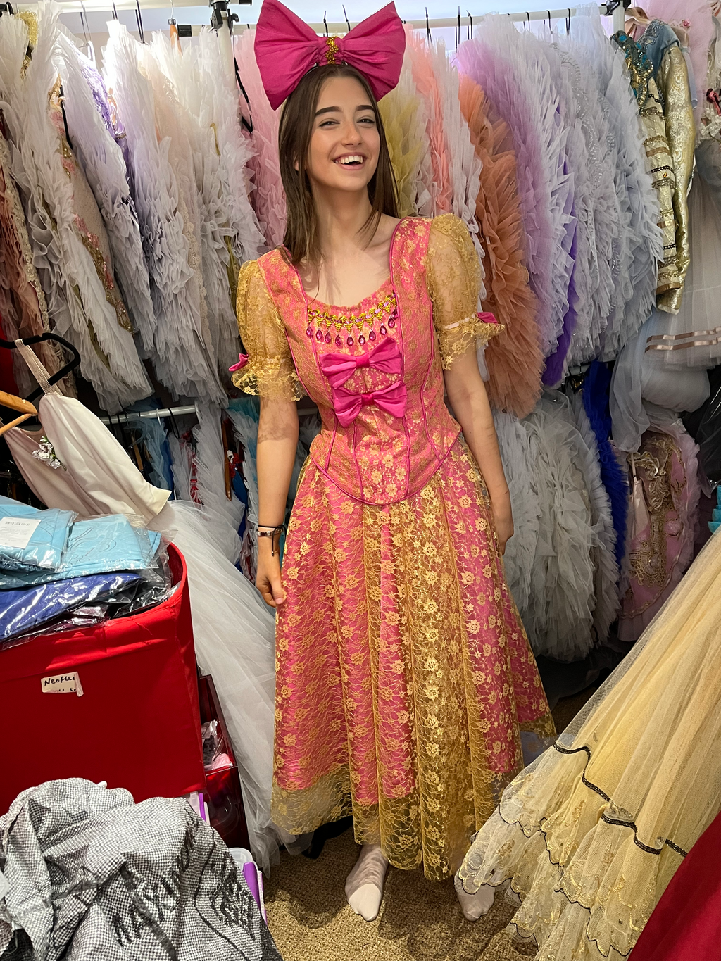 Edwina Ugly Sister Ball dress - Hire Only