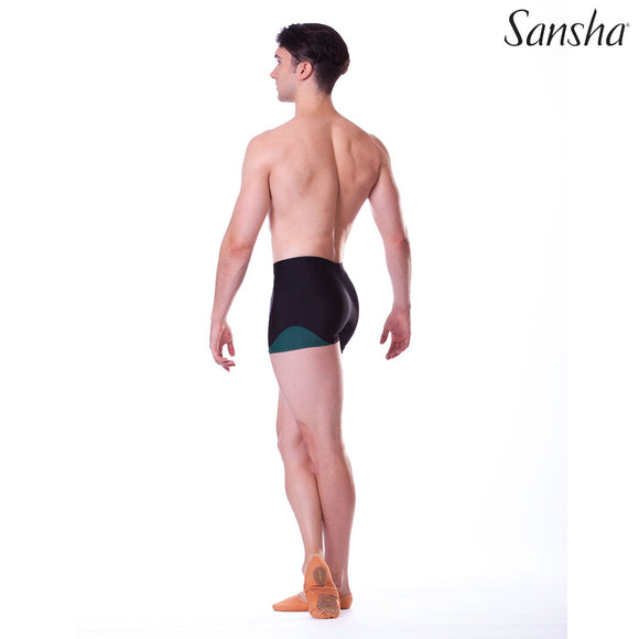 Sansha Stephane microfibre shorts