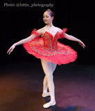 Just Ballet Paquita tutu