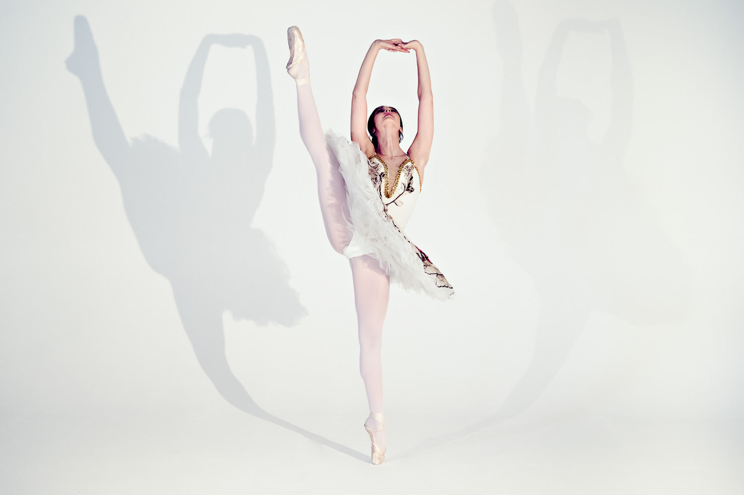 Just Ballet Autumnal tutu - hire only