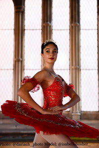 Just Ballet Paquita tutu