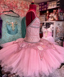 Pink and silver Sugar Plum tutu - hire only