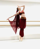 La Bayadere Nikiya Arabian Middle Eastern Costume - Hire only