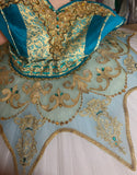 Professional two piece turquoise and gold tutu - Hire only