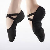 So Danca stretch canvas shoes SD16 Black