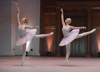 La Bayadere Pas D'Action Tutu - Hire only