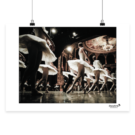 Danzarte swanlake rehearsal poster - Just Ballet
