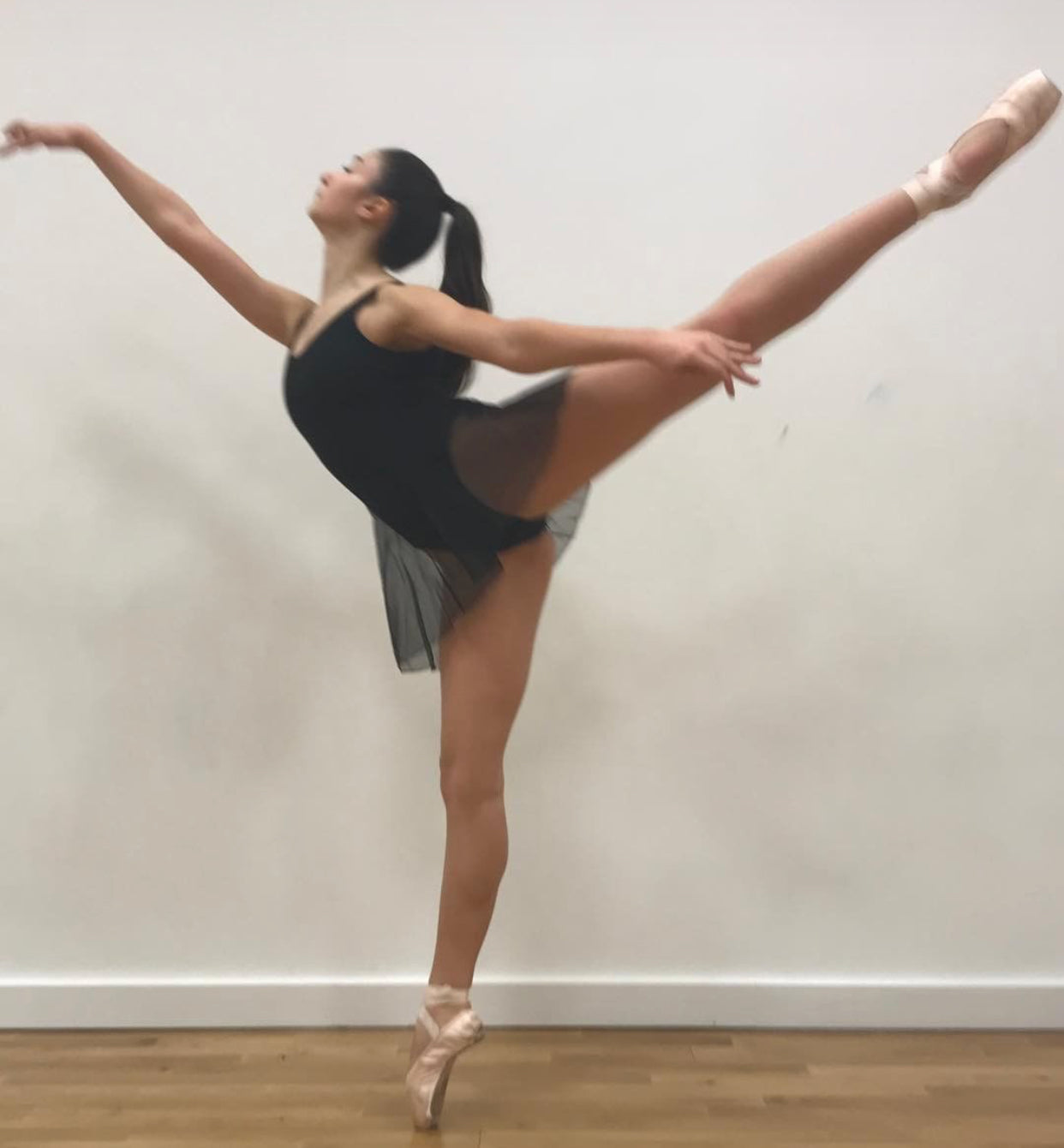 Degas leotard with mesh overskirt 2604