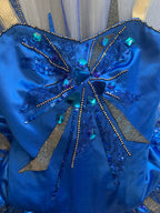 Sleeping Beauty Jewels Sapphire Tutu  - Hire only